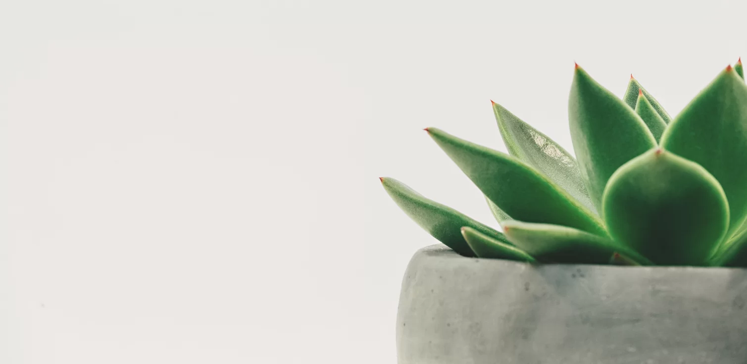 ゆるとつブログTOP