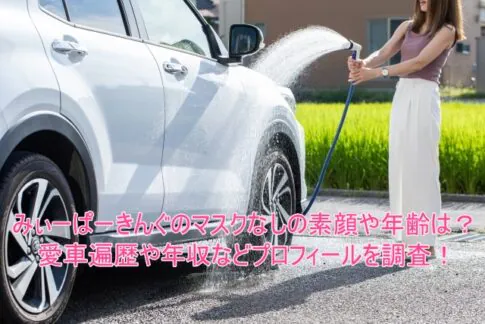 みぃーぱーきんぐのマスクなしの素顔や年齢は?愛車遍歴や年収などプロフィールを調査!
