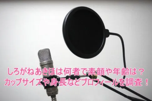 しろがねあきほは何者で素顔や年齢は？カップサイズや身長などプロフィールを調査！