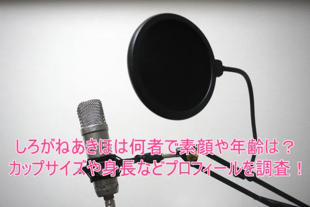 しろがねあきほは何者で素顔や年齢は？カップサイズや身長などプロフィールを調査！