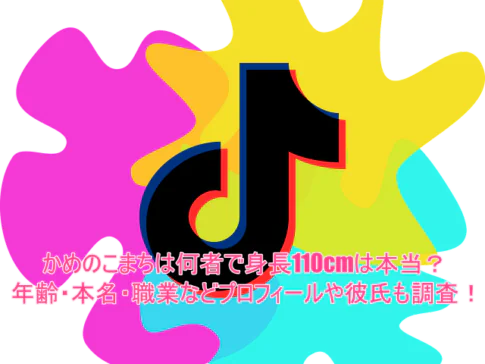 かめのこまちは何者で身長110cmは本当？年齢・本名・職業などプロフィールや彼氏も調査！