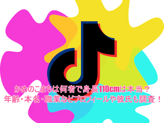 かめのこまちは何者で身長110cmは本当?年齢・本名・職業などプロフィールや彼氏も調査!